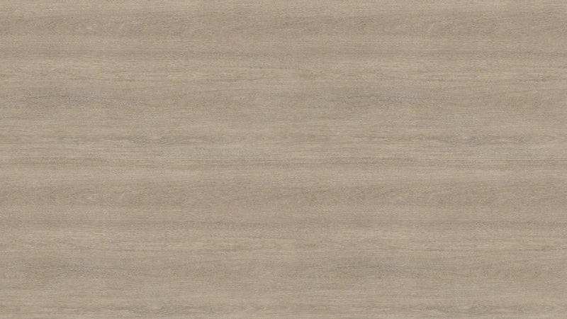 Beige Grey Lorenzo Oak H3146 ST19 - Sample - LUXE SUPPLIES