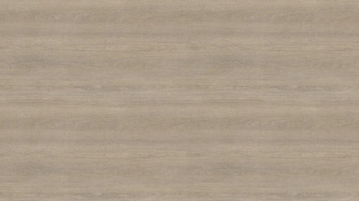Beige Grey Lorenzo Oak H3146 ST19 - Sample - LUXE SUPPLIES
