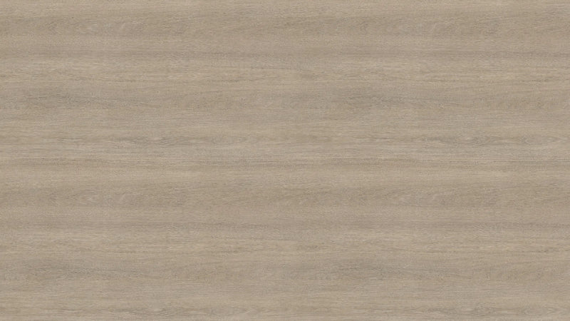 Beige Grey Lorenzo Oak H3146 ST19 - Sample