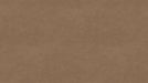 Luxe Supplies TV Backboard in Cobra Bronze